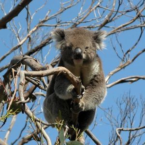 Meet your Posher, Gretchen